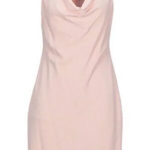 Alice + Olivia Blush Pink Backless Dress